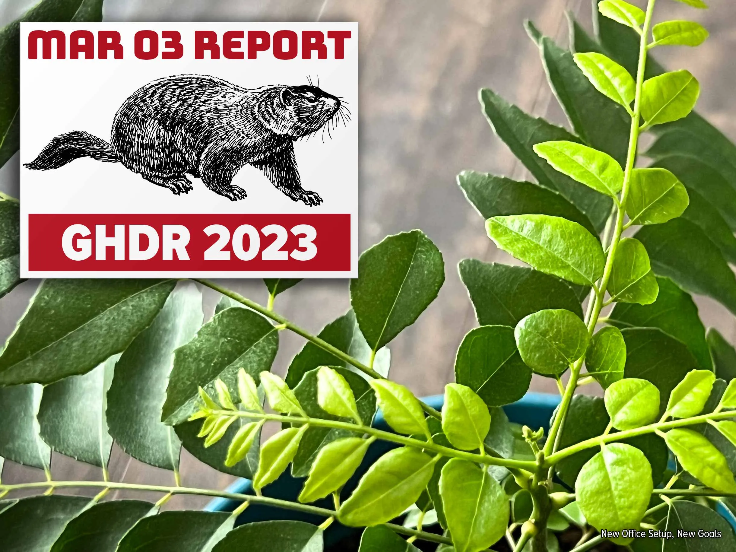 picture of Sri's office space (full size image)