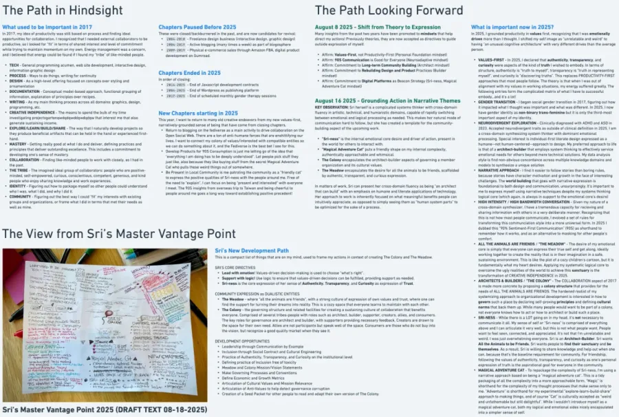Sri's colorful braindump diagram of blocks of text describing things on her mind