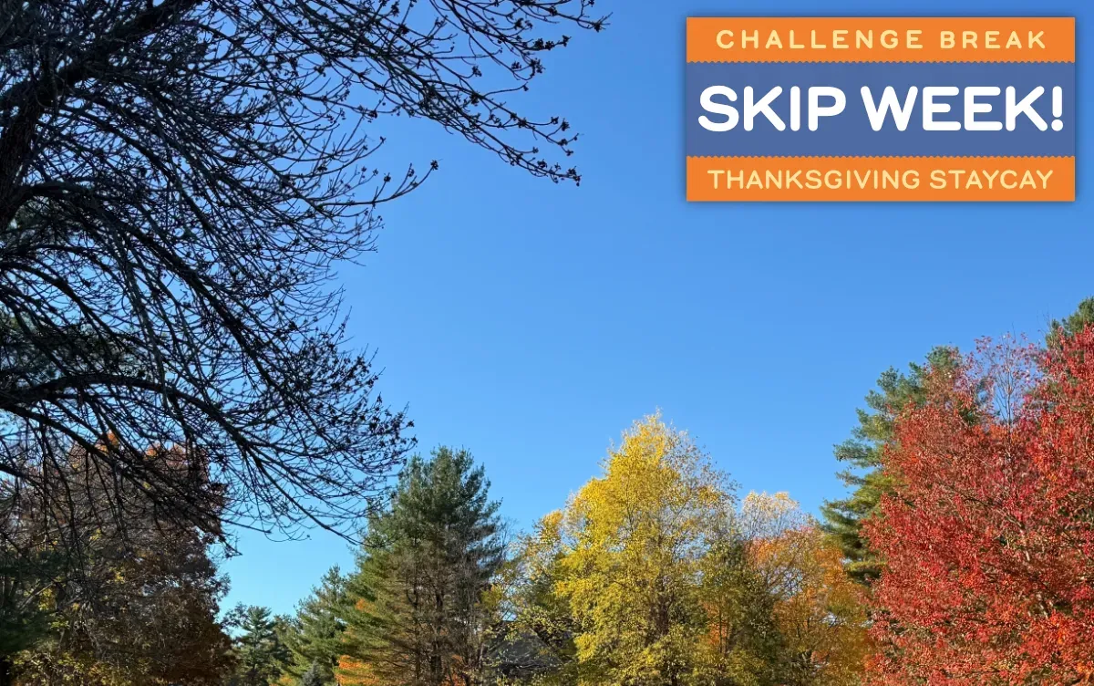 Trees with fall folliage reached up toward a clear blue sky (full size image)