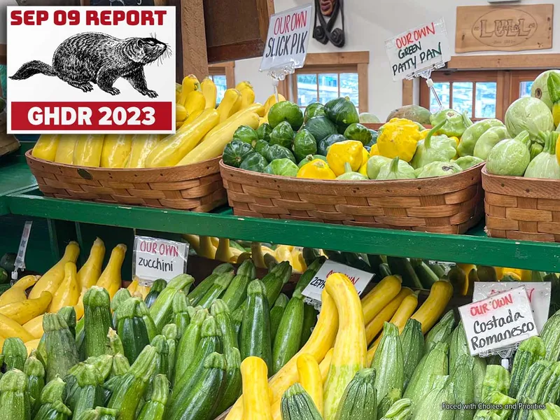 Image of a farm stand display with many kinds of squash and pumpkins in baskets available to choose from