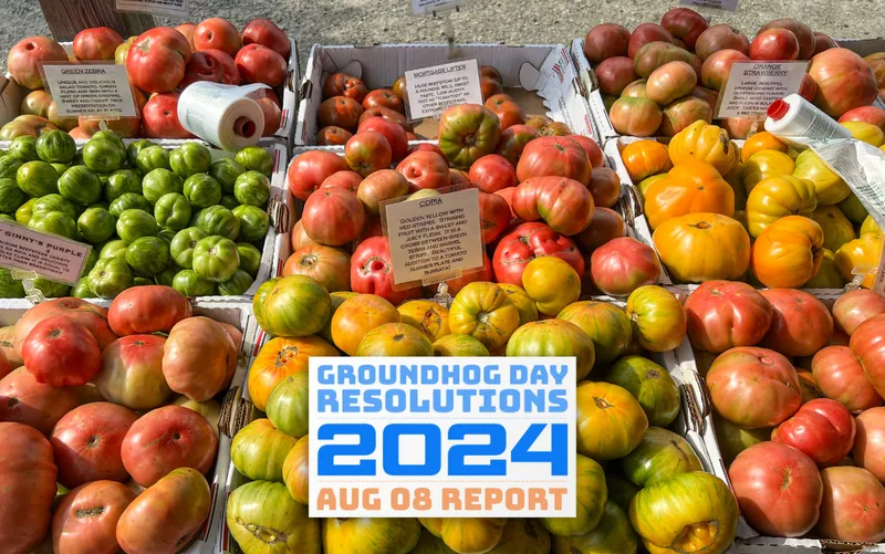 boxes of heirloom tomatoes at farm stand