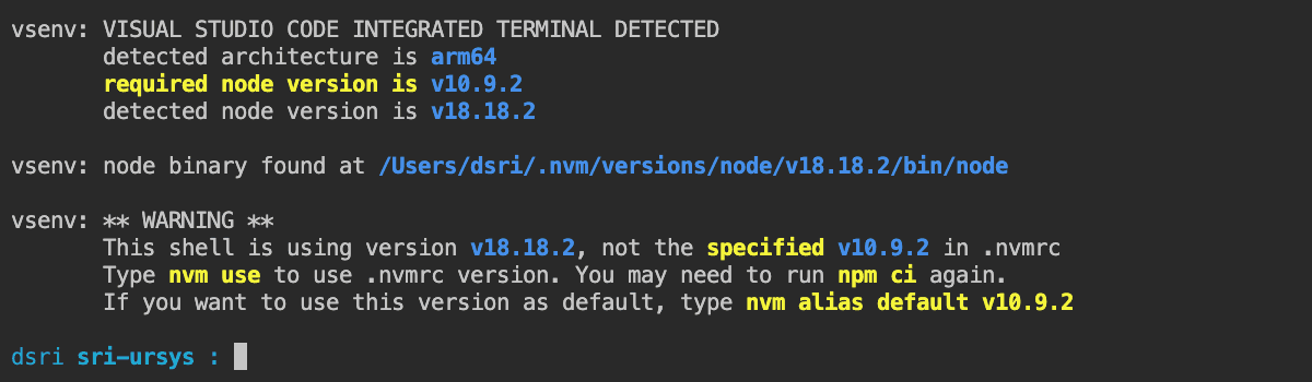 Successful Node version match output